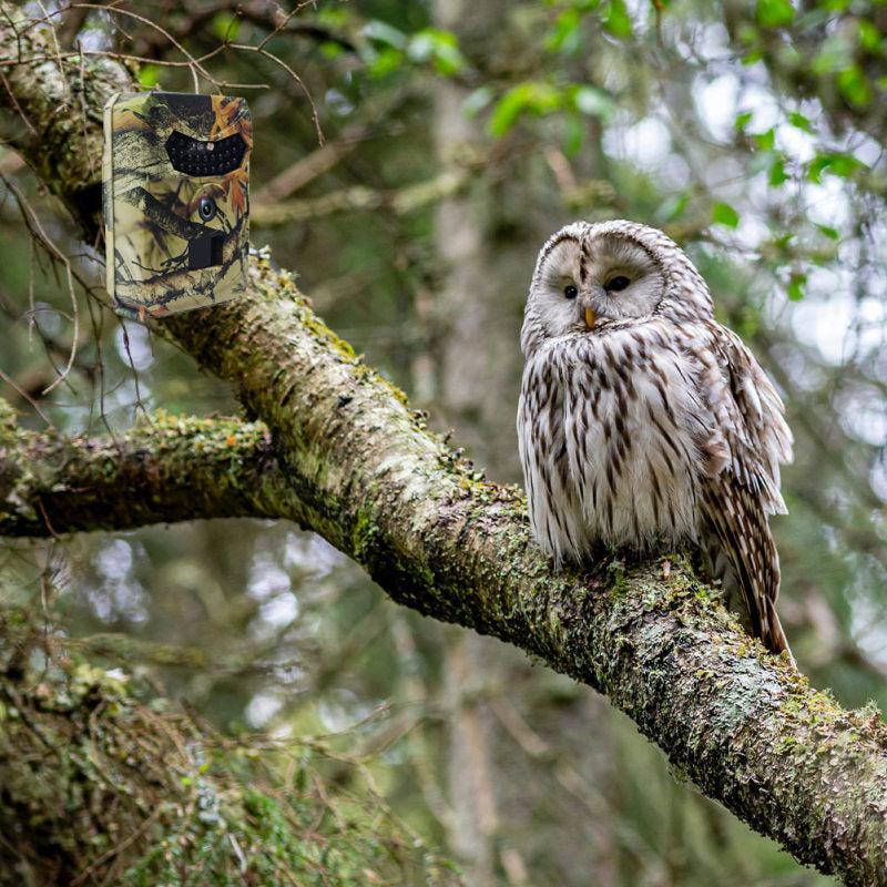 16MP Hunting Infrared Night Vision Camera