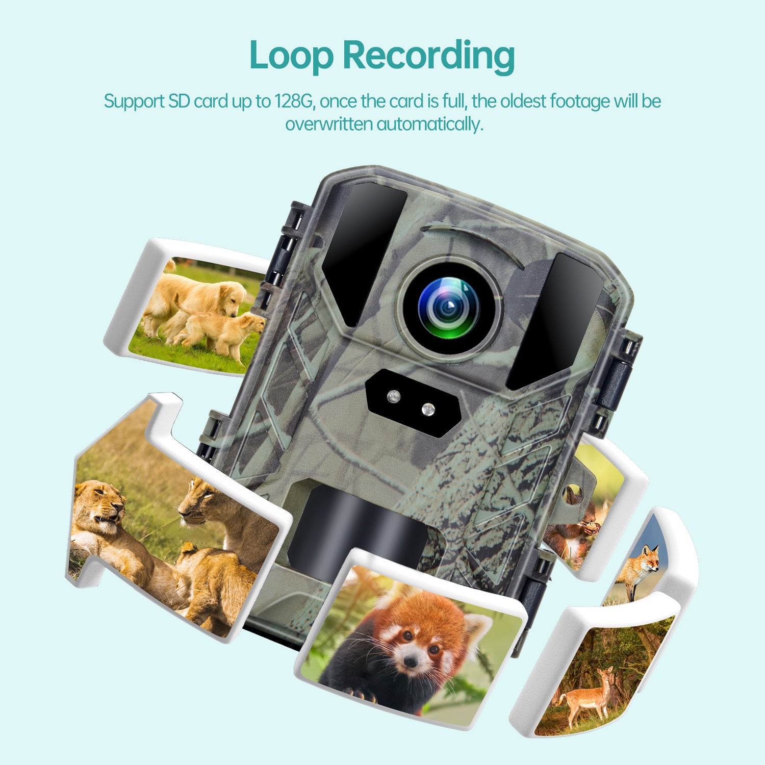 4K 50MP HD Outdoor Wild Hunting Camera