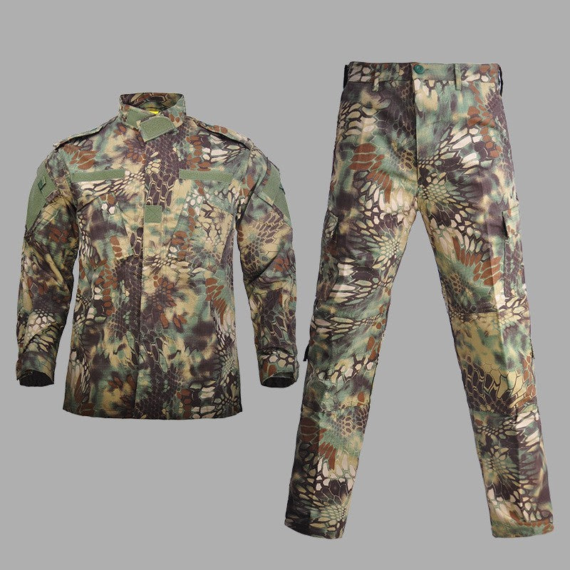 Foreign camouflage uniforms