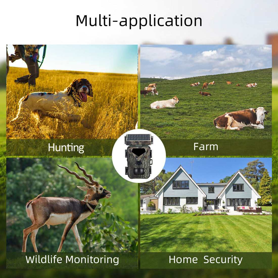 HD Anti-hunting Camera