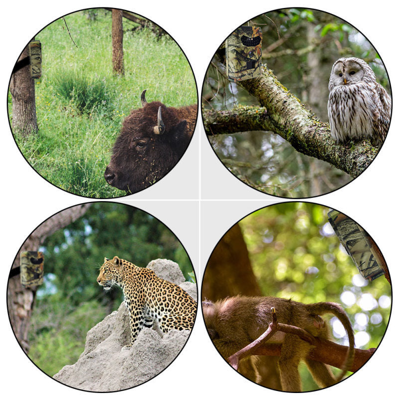 16MP Hunting Infrared Night Vision Camera