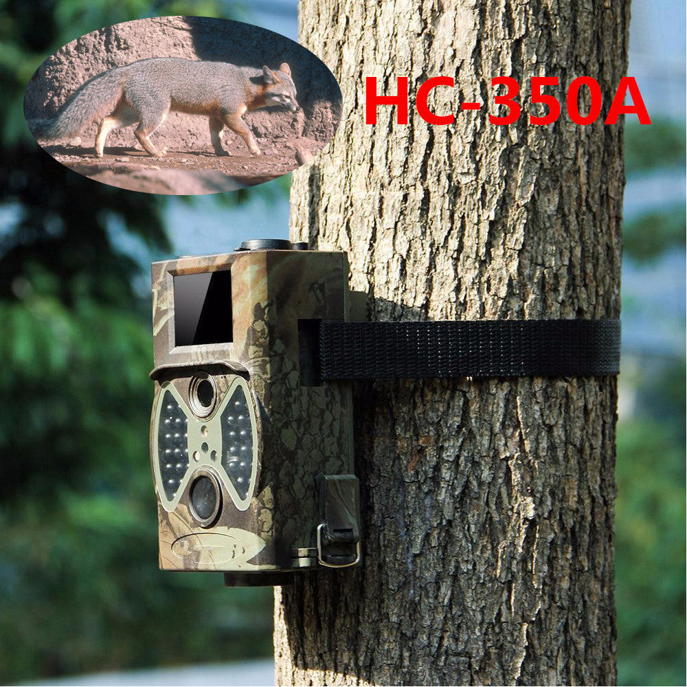 Hunting Outdoor Security Surveillance Cameras